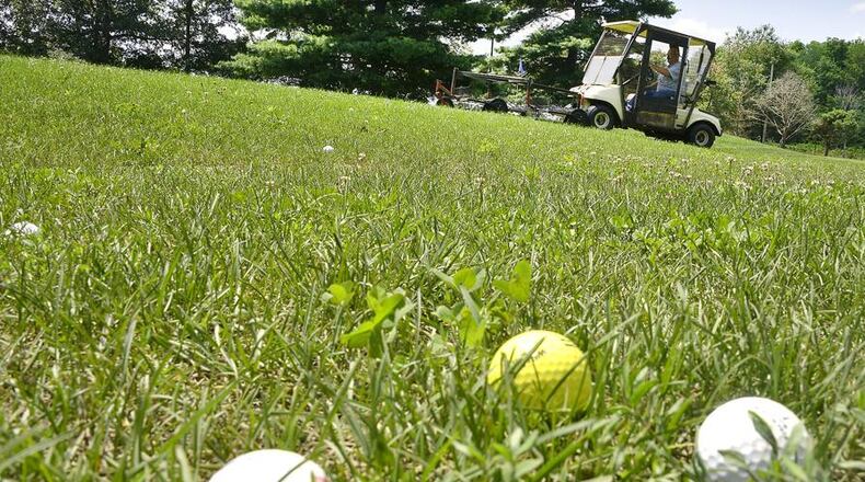 Golf balls in grass. CONTRIBUTED