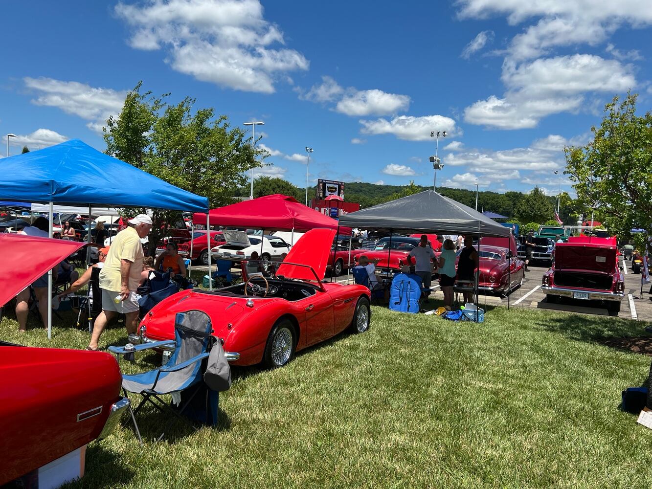 Cruise in