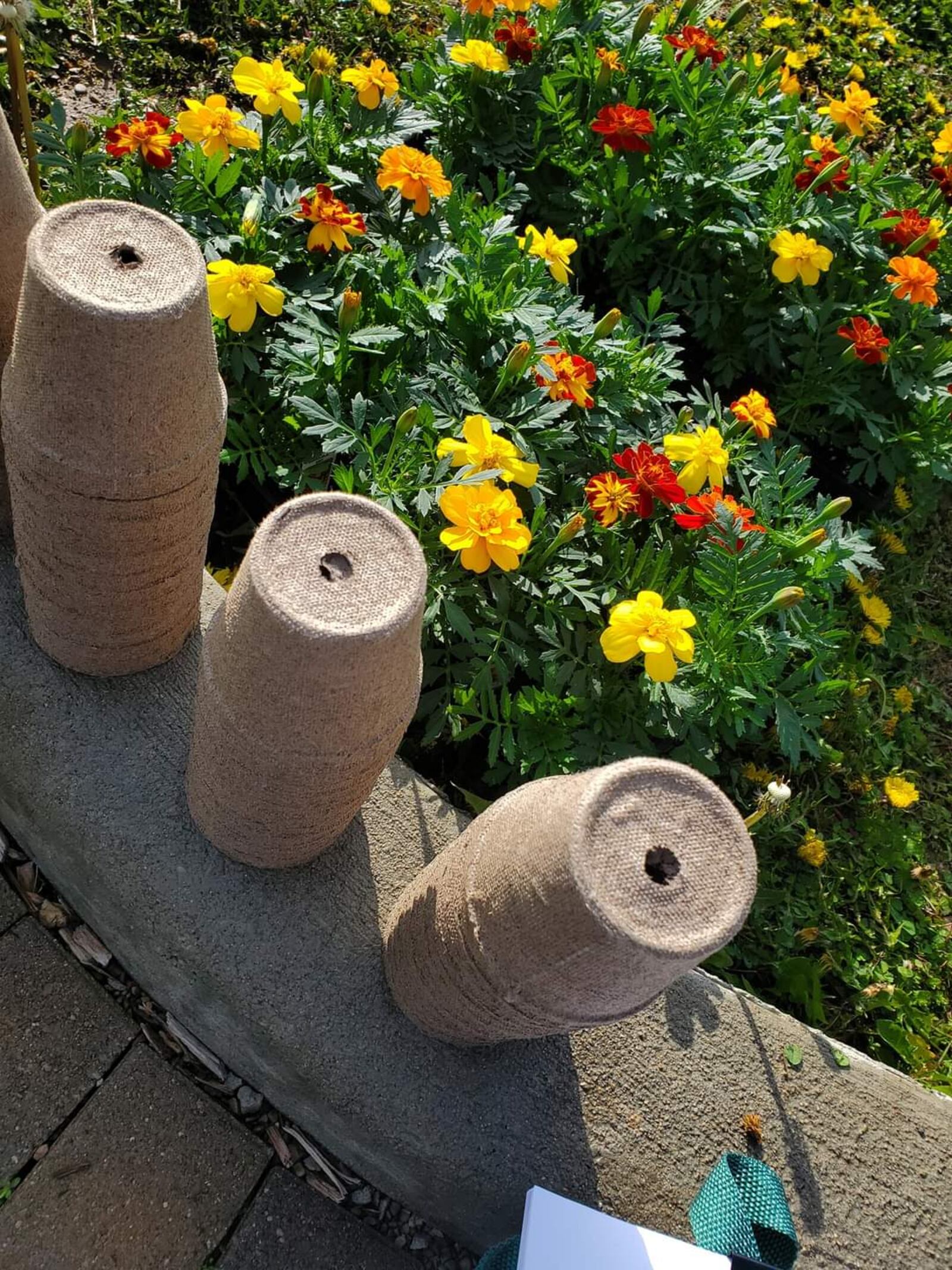 Kids can pot their own marigolds to take home at the Earth Day Celebration sponsored by Barefoot Hippie Homesteading and the city of Lebanon. CONTRIBUTED