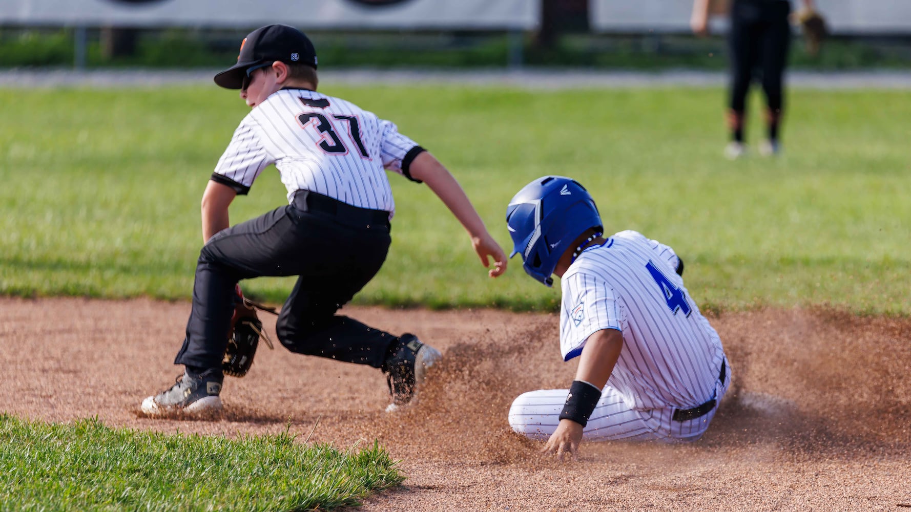 hamilton west side little league 2025