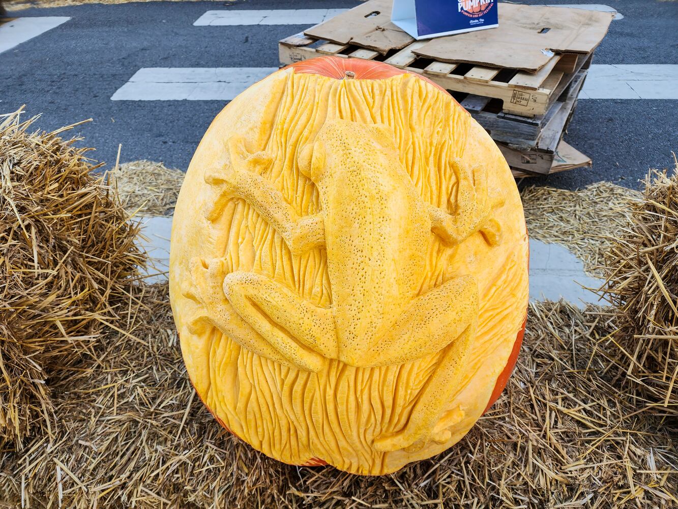 100722 operation pumpkin