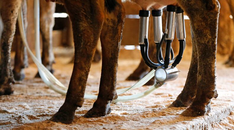 HB 406 would legalize the sale of raw milk directly to consumers on Ohio farms. AP Photo/Robert F. Bukaty, File)