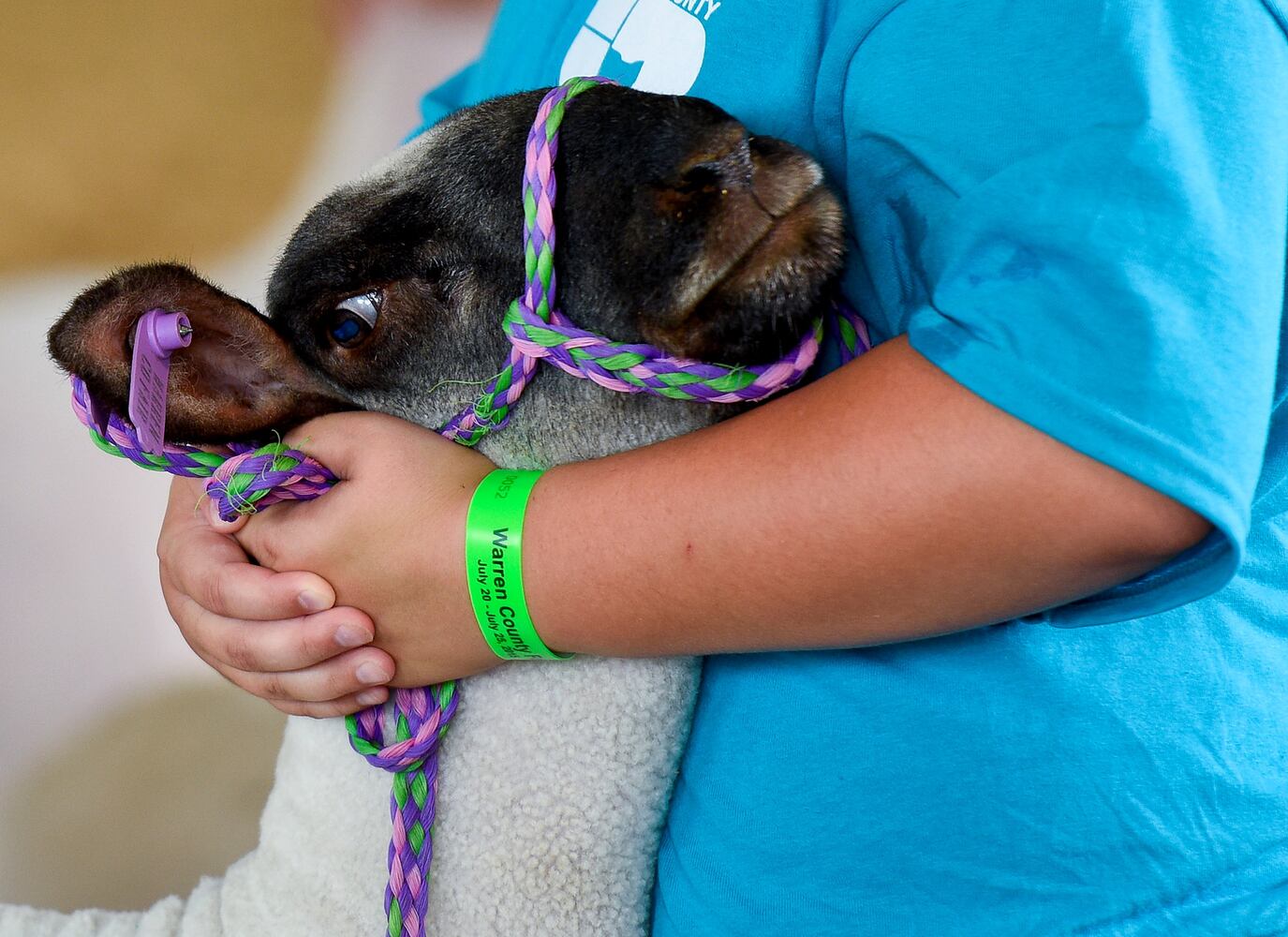 Warren County Fair 2015 Day 1