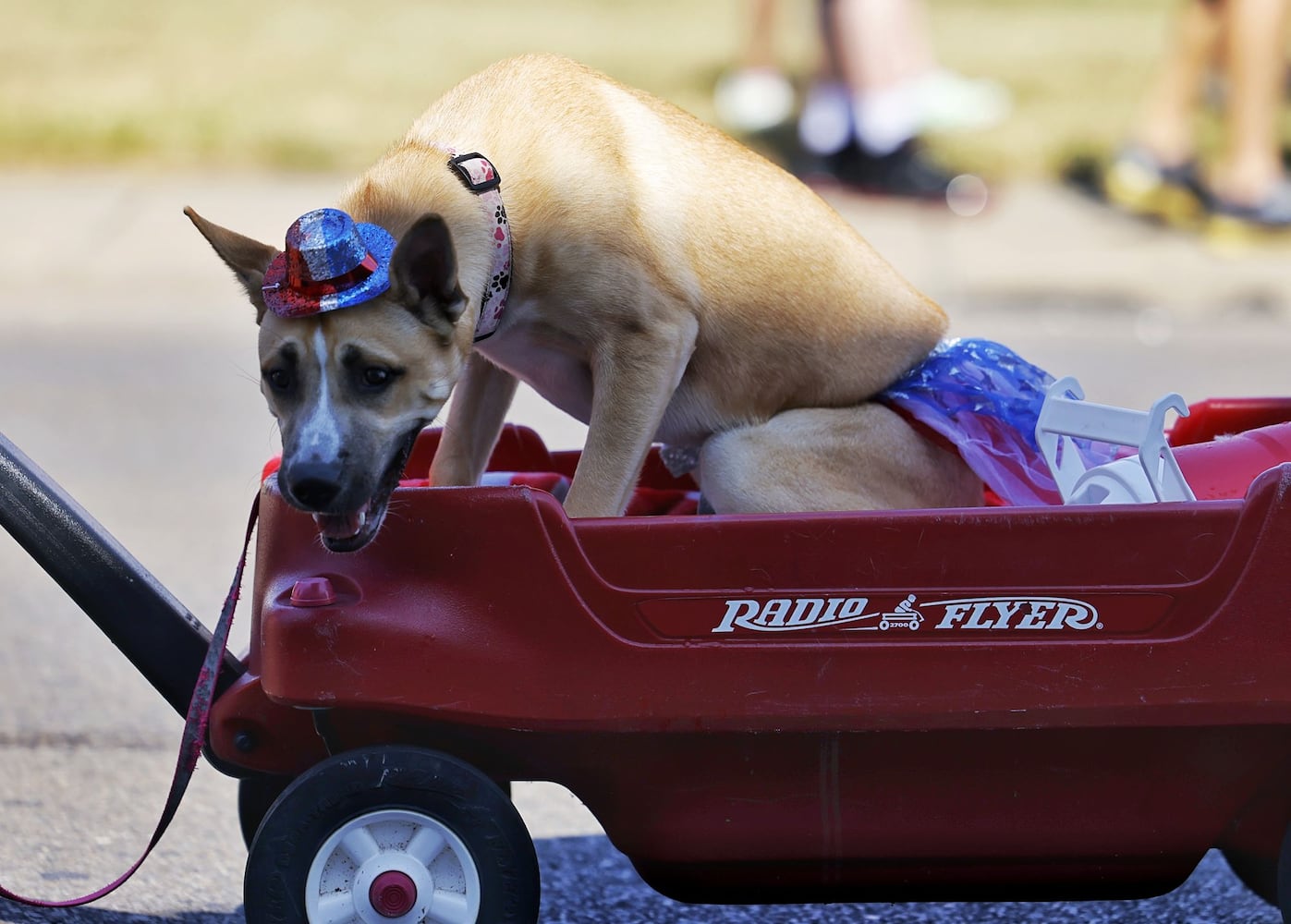 070422 Middletown July 4 parade