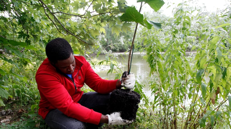 Middletown is providing 260 free trees to residents through the Community Canopy Project, an Arbor Day Foundation program that helps expand the tree canopies of cities and towns across the United States. STAFF FILE PHOTO