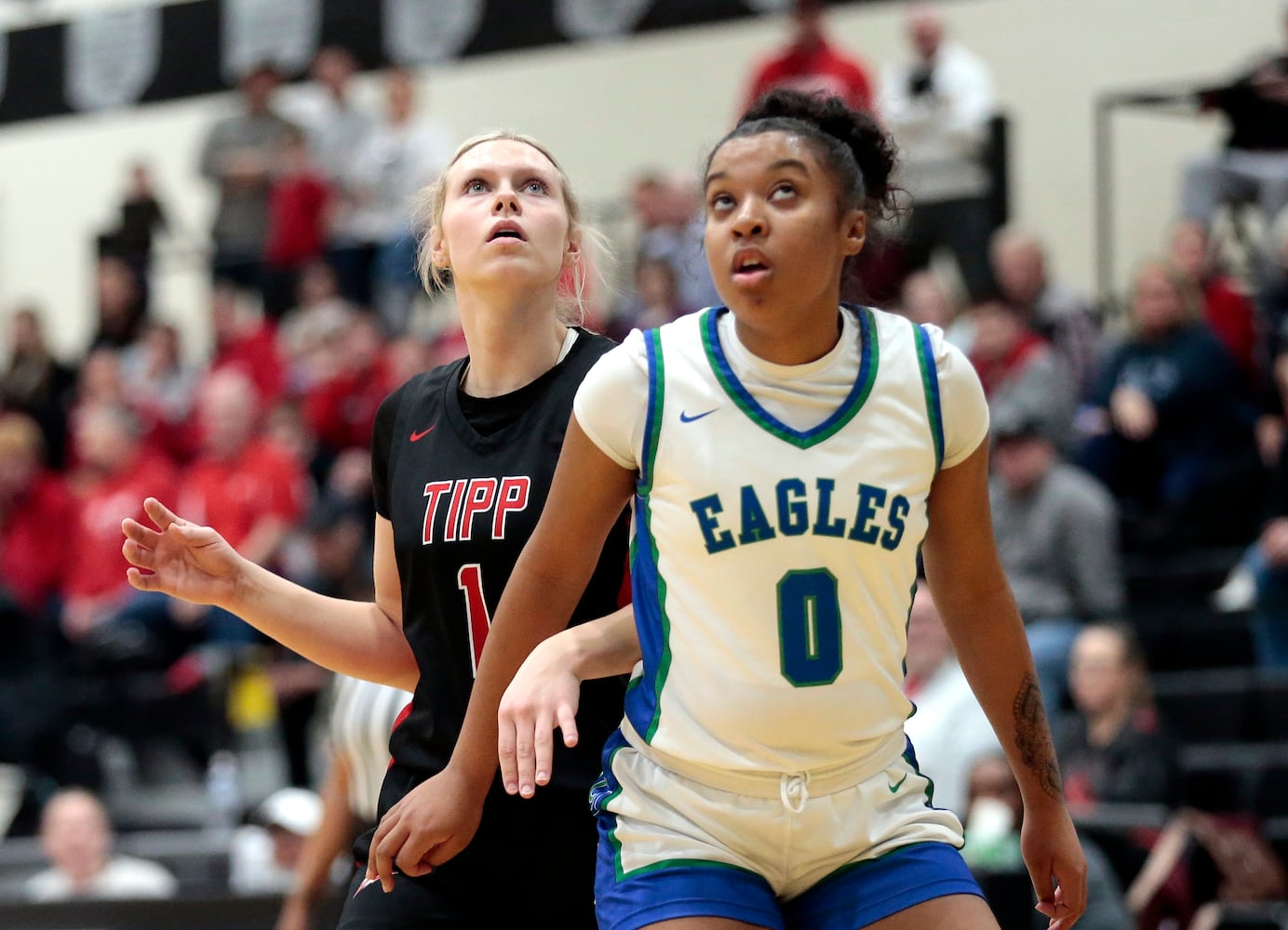 Chaminade Julienne Tippecanoe basketball