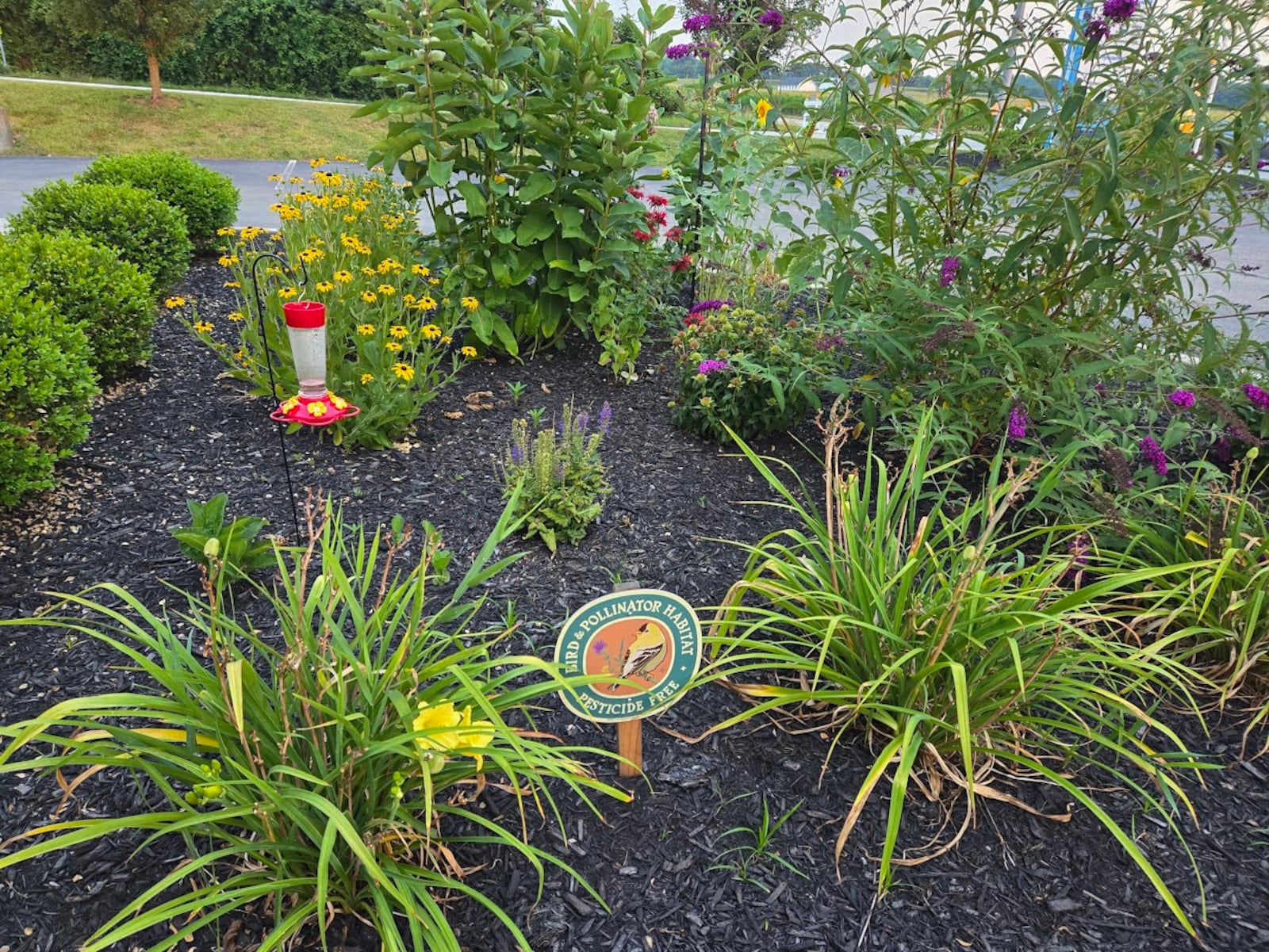 While receiving compassionate care from Dr. Melissa Quick, MD, and the team at Trenton Family Medicine, 3590 Busenbark Road, patients can enjoy nature and contribute to a healthy environment.