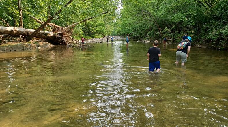 Sebald MetroPark summer creeking. CONTRIBUTED