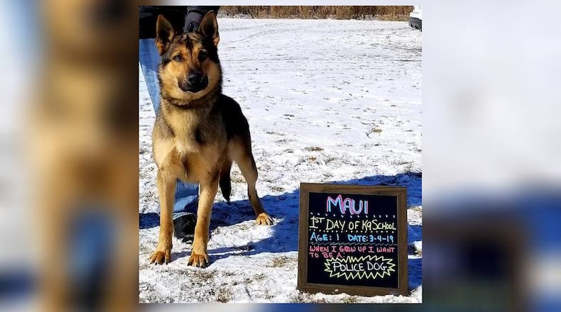 Officer Evan Mosley will handle Maui.