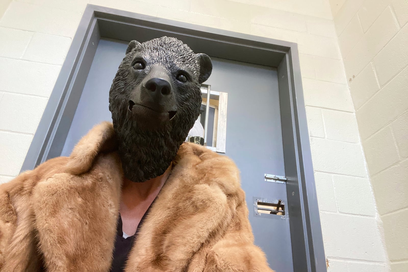 A San Diego Humane Society employee wears a mask before interacting with a bear cub, which was found alone in Los Padres National Forest, at the San Diego Human Society Ramona Wildlife Center on Wednesday, April 23, 2025, in Ramona, Calif. (San Diego Humane Society via AP)
