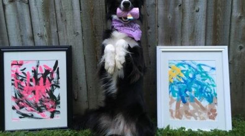 Chloe the talented border collie will be showing off her Canine Canvas Skills at Paws-A-Palooza fund-raising event Saturday in Monroe. CONTRIBUTED