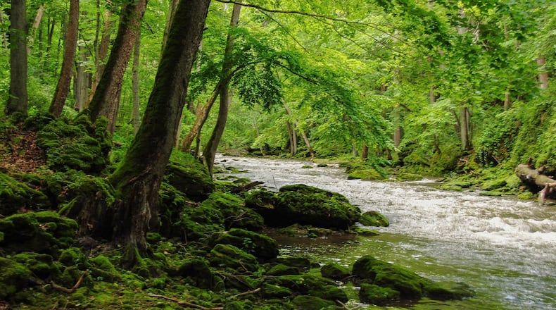 John Bryan State Park and its limestone gorges are just a mile away from Yellow Springs. Source: Courtesy of Stephanie O Grady/Ohio Department of Natural Resources.