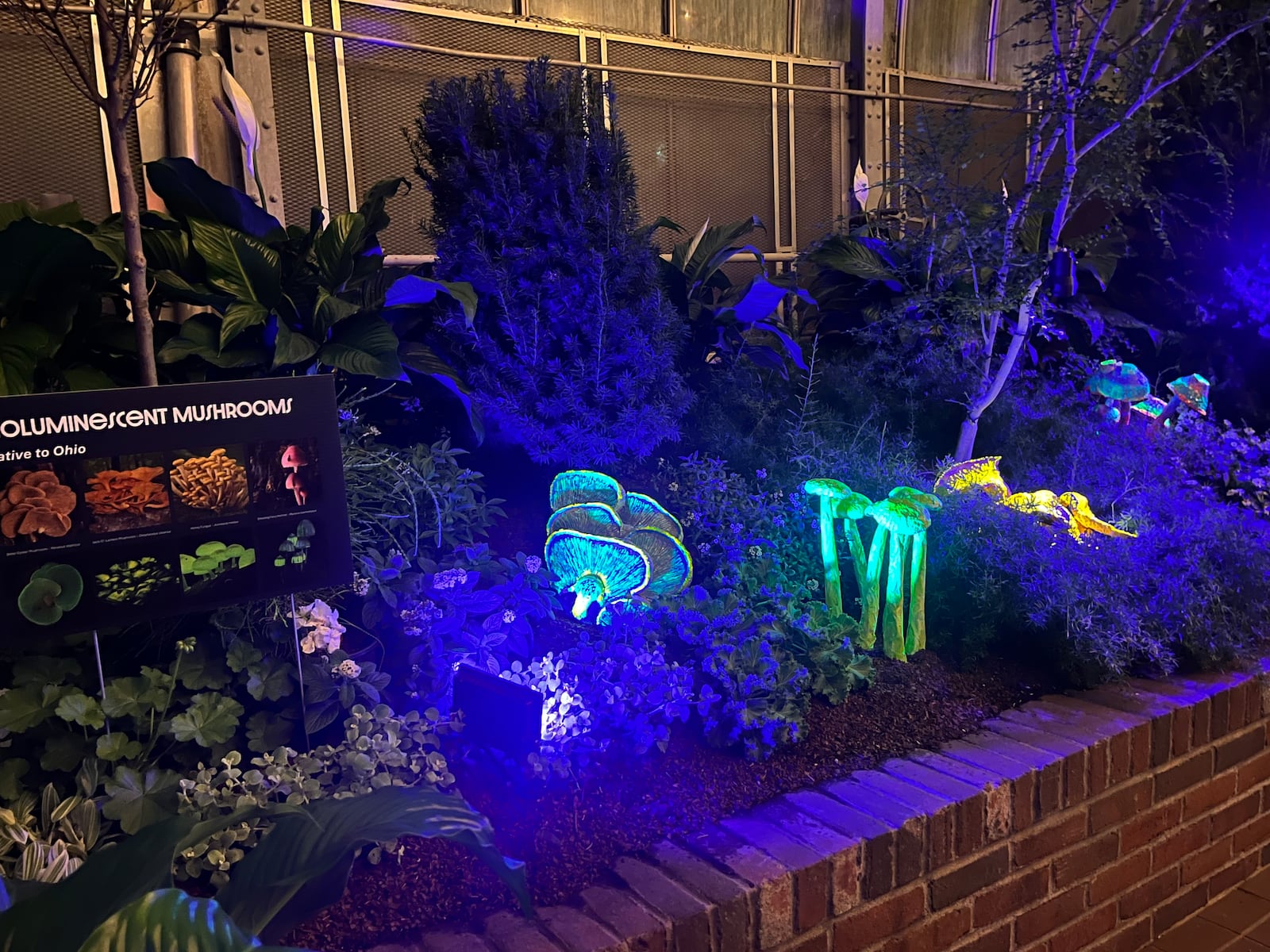 The Krohn Conservatory's Moonlight Menagerie event will run Jan. 17-April 19, 2026. Photo by Allison Wallis. Contributed