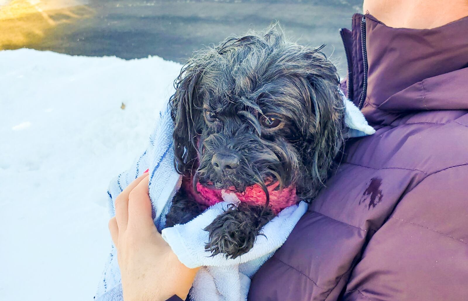 Butler County Sheriff's deputy Evan Depew, who is trained in emergency response services, pulled a Liberty Twp. woman and dog to safety after the dog fell into a frozen pond and the woman went in after it. CONTRIBUTED