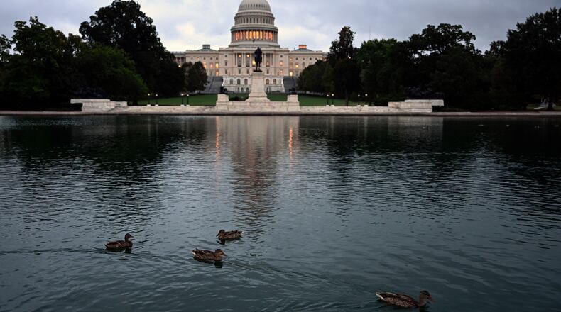 Ducks swim at daybreak in the U.S. Capitol Reflecting Pool during the 8th day of the government shutdown on Wednesday, Oct. 8, 2025, in Washington. (AP Photo/John McDonnell)