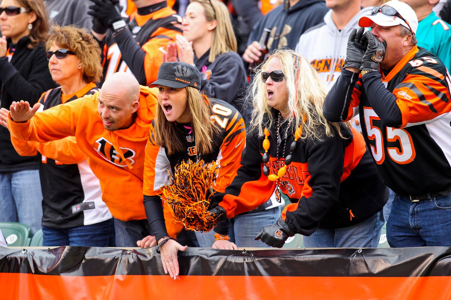 Bengals vs. Dolphins