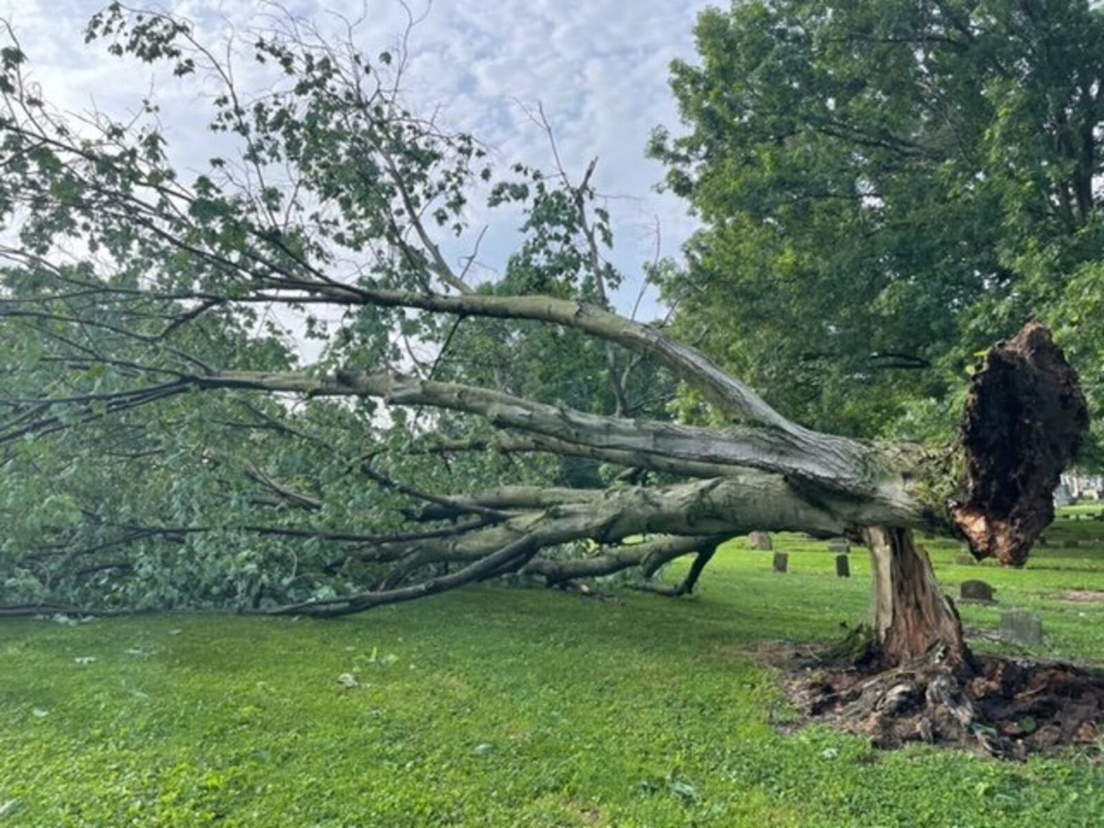 The historic section of the Greenwood Cemetery will remain closed until the fallen trees and limbs can be cleared. Winds of up to 70 miles per hour swept through southwest Ohio on Monday, June 13, which caused damage to countless trees, including those in the Hamilton cemetery. PROVIDED/FACEBOOK.COM