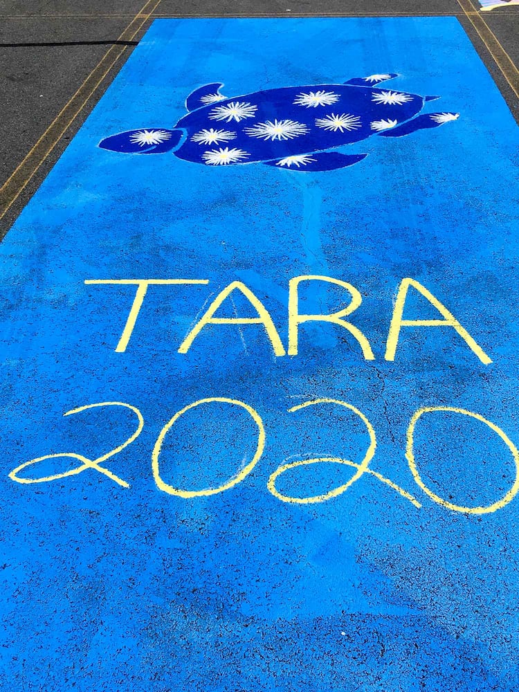 PHOTOS Lakota East seniors paint parking spots