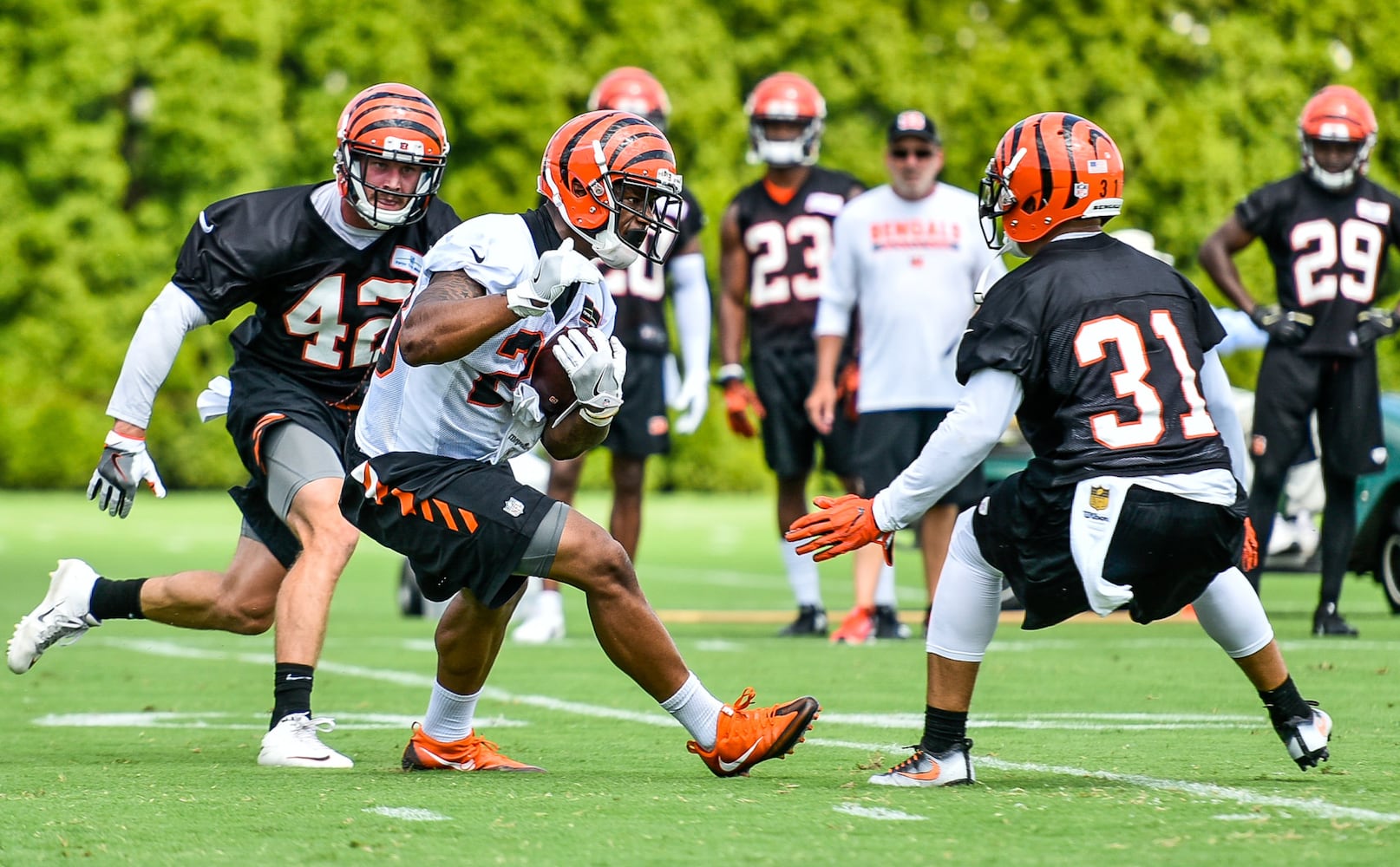 Bengals Training Camp Day 1