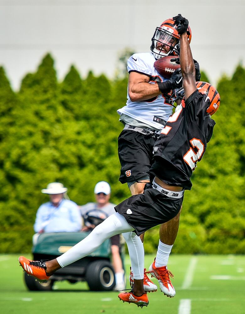 Bengals Training Camp Day 1
