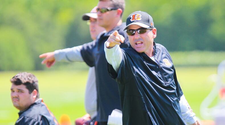 New Bengals offensive coordinator Ken Zampese yells instructions during the first OTA practice of the year, Tuesday, May 24, 2016. GREG LYNCH / STAFF