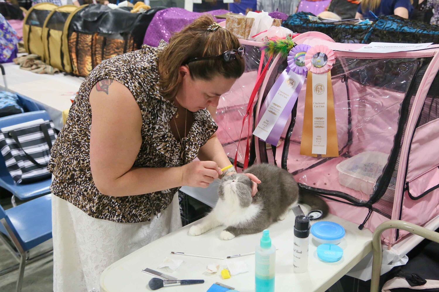 Cat Show at Butler County Fairgrounds