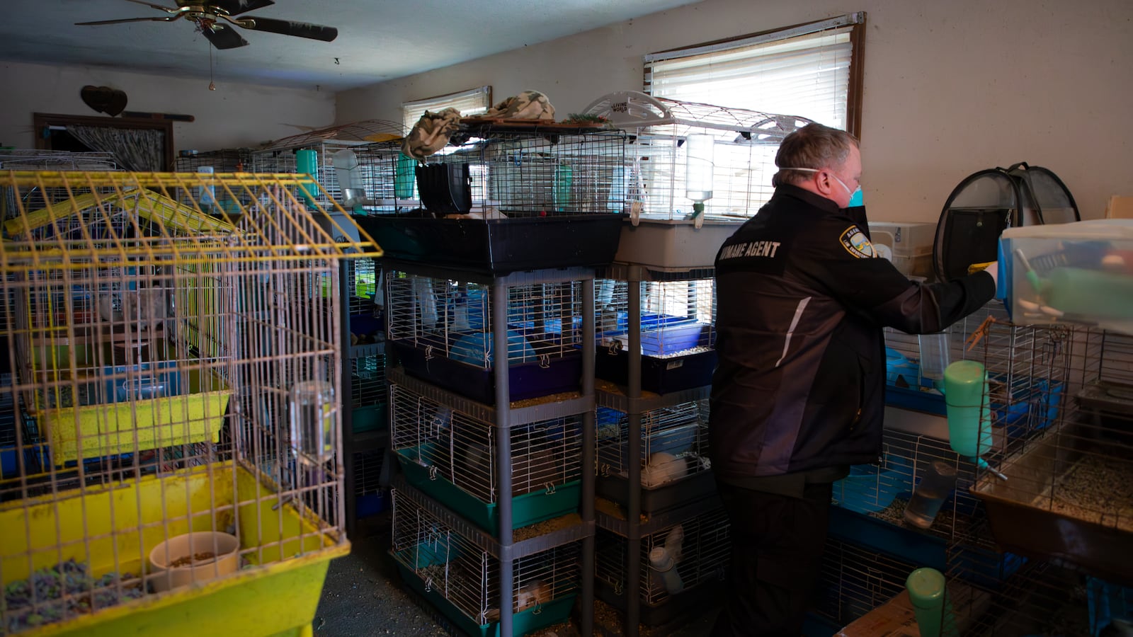 Humane Society of Greater Dayton agents remove 137 animals from a Dayton home following concerns of severe neglect and poor living conditions on Match 5, 2026. Photo courtesy the Humane Society of Greater Dayton.