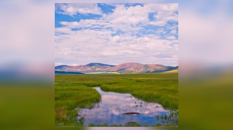 Miami University Regionals will present National Parks Talk Series, Denali National Park at 4:45 p.m. April 19 at the Gardner-Harvey Library Middletown. Tammie L. Gerke, associate teaching professor in Geology at Miami University, will share the geology and other interesting information about Denali National Park. CONTRIBUTED