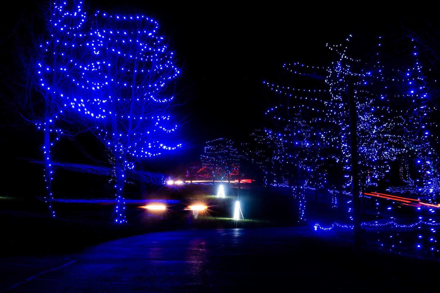 111920 Journey Borealis at Pyramid Hill drive-thru holiday light display