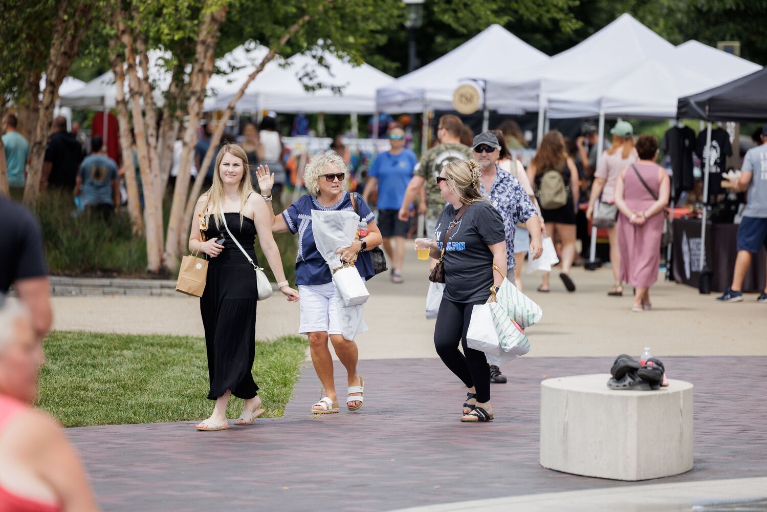 Hamilton Flea August 2024