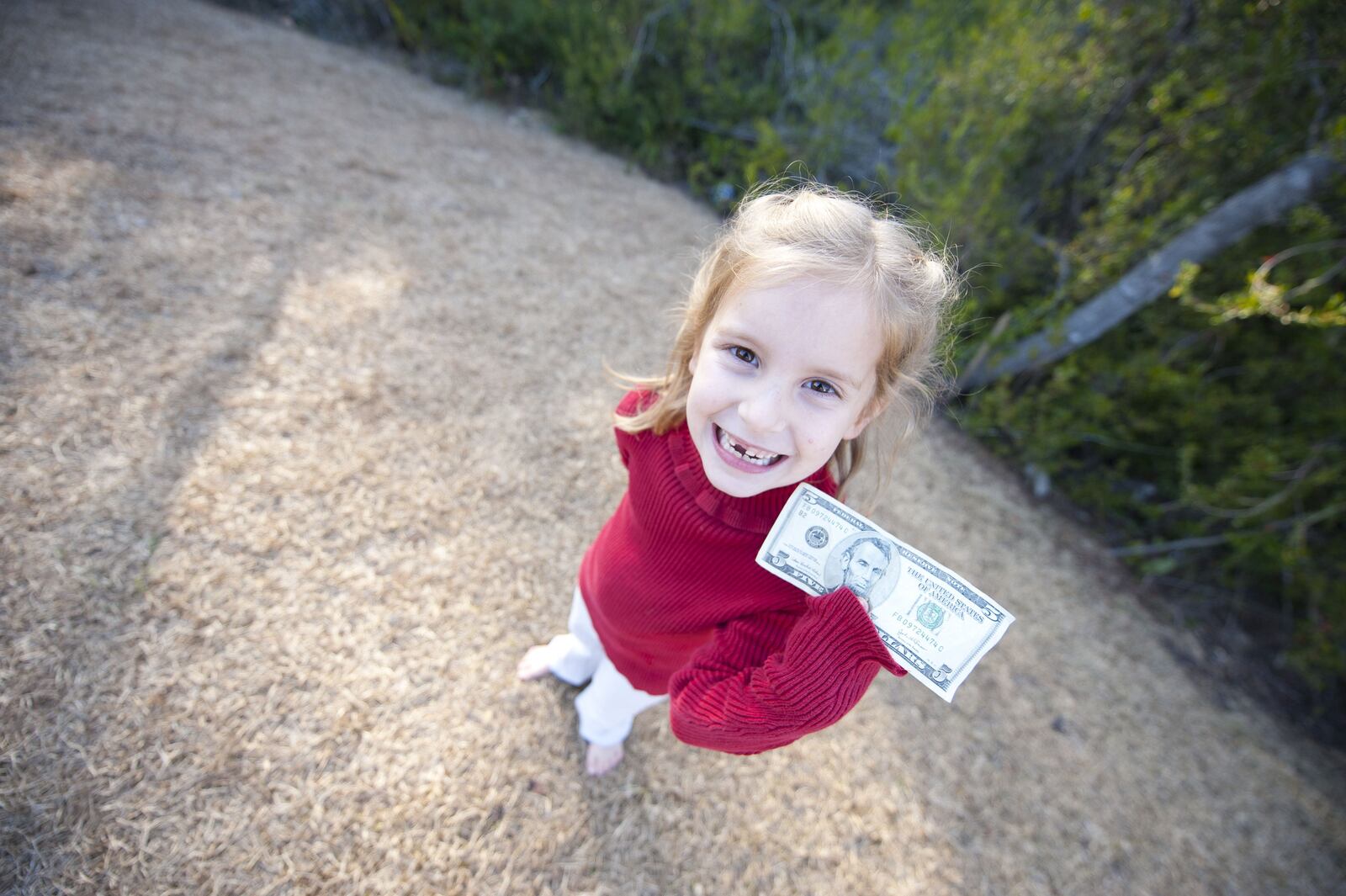 The Tooth Fairy is leaving 8% less this year, according to a survey from Visa out Thursday.