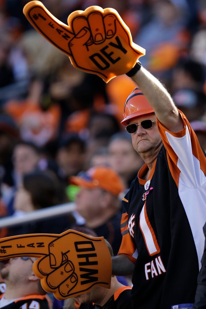 Cincinnati Bengals vs. Baltimore Ravens