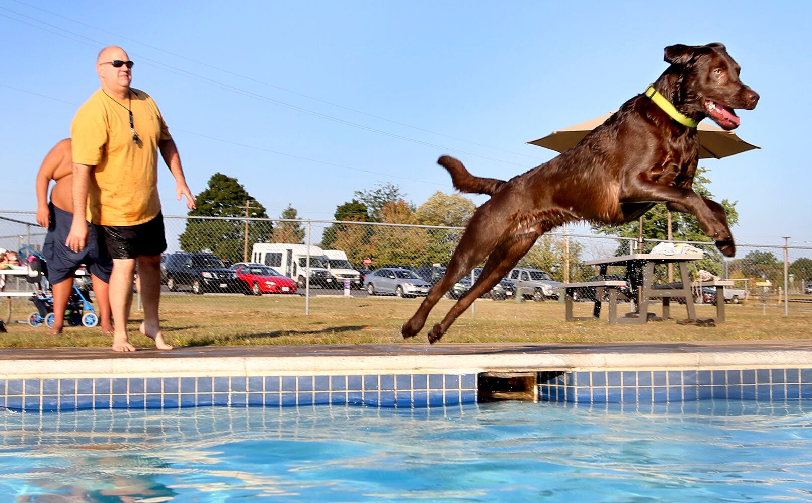 News hounds (9/10/15)