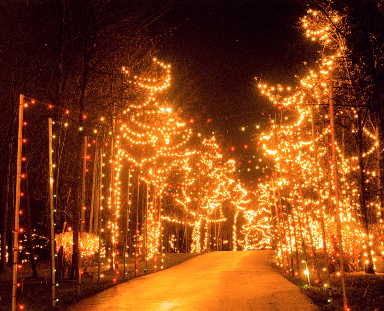 PHOTOS: Looking back at November 2001