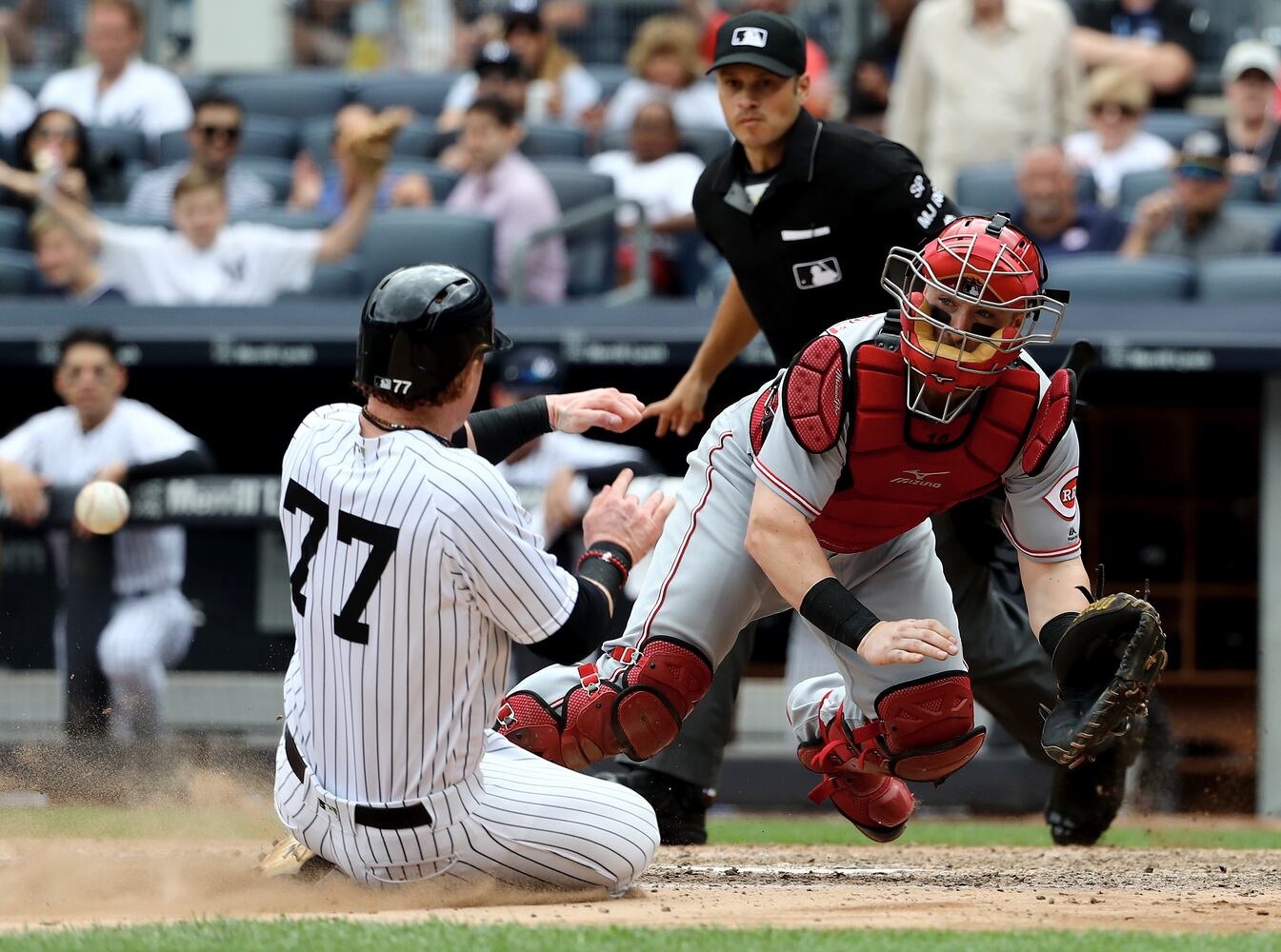 Reds fall to Yankees