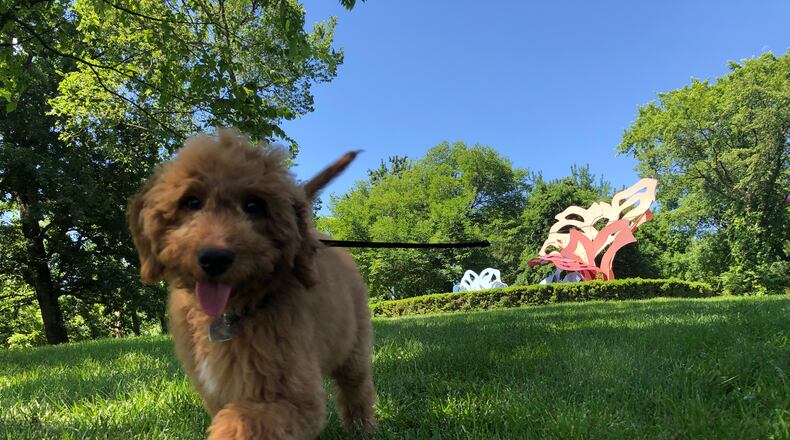 Pyramid Hill Sculpture Park and Museum recently unveiled the complete summer schedule of programs and events. CONTRIBUTED