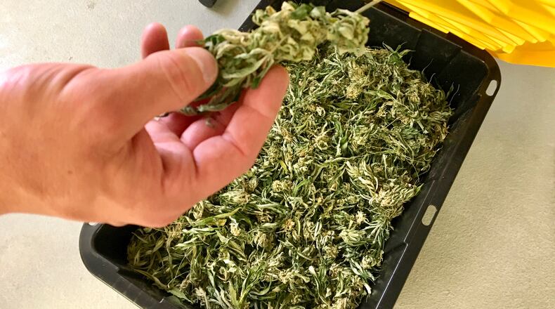 FILE - In this July 2, 2019, file photo, Darren Johnson, a hemp processor, holds raw hemp that will be used to make CBD oil at his processing facility, Wasatch Extraction, in Salt Lake City. A Utah group that led the push to get medical marijuana legalized in Utah launched a new project with marijuana pharmacies in the state Tuesday, April 20, 2021 to get certain people discounted rates on pot. They say they're doing it because people can't use health insurance to pay for it. (AP Photo/Morgan Smith, File)