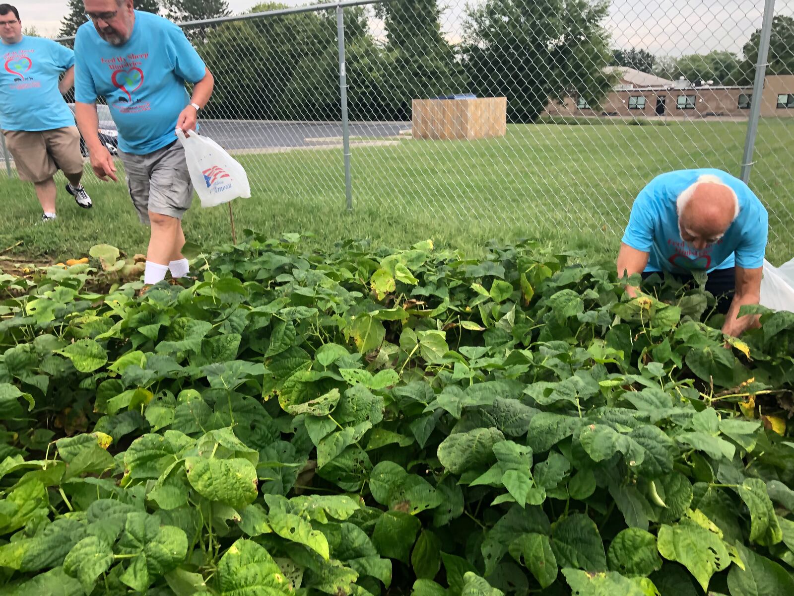 Pastor Connor Thompson, left, watches as Larry Steele and Dave Lombard pick vegetables from the church's garden. RICK McCRABB/STAFF