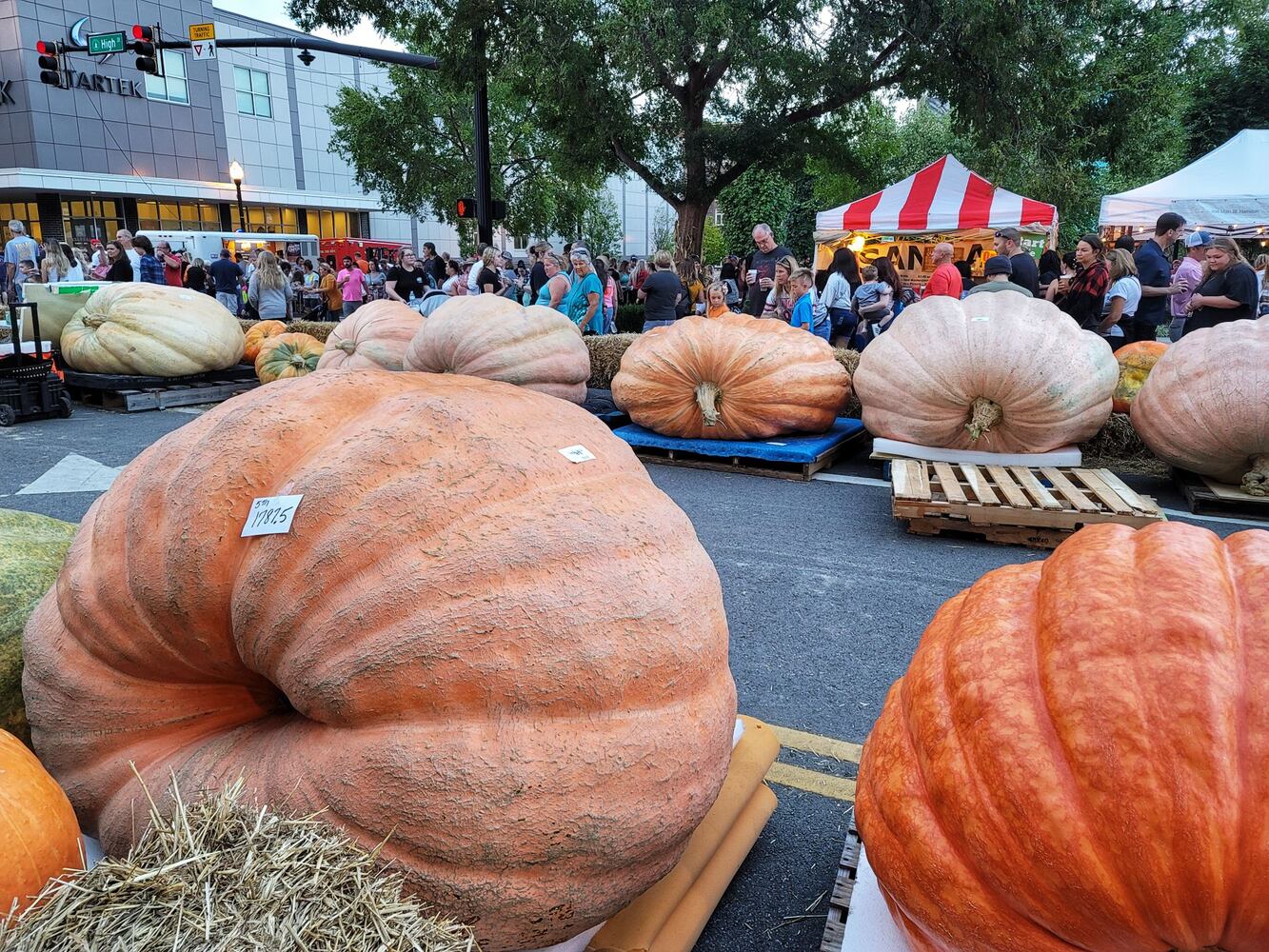 100921 Operation Pumpkin Hamilton