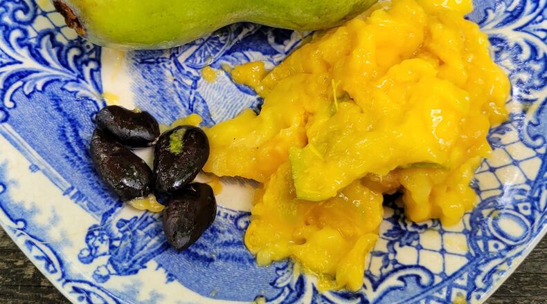 A pawpaw and pawpaw flesh is seen in this photo. Pawpaws are for sale locally and have a very short harvesting season. CONTRIBUTED