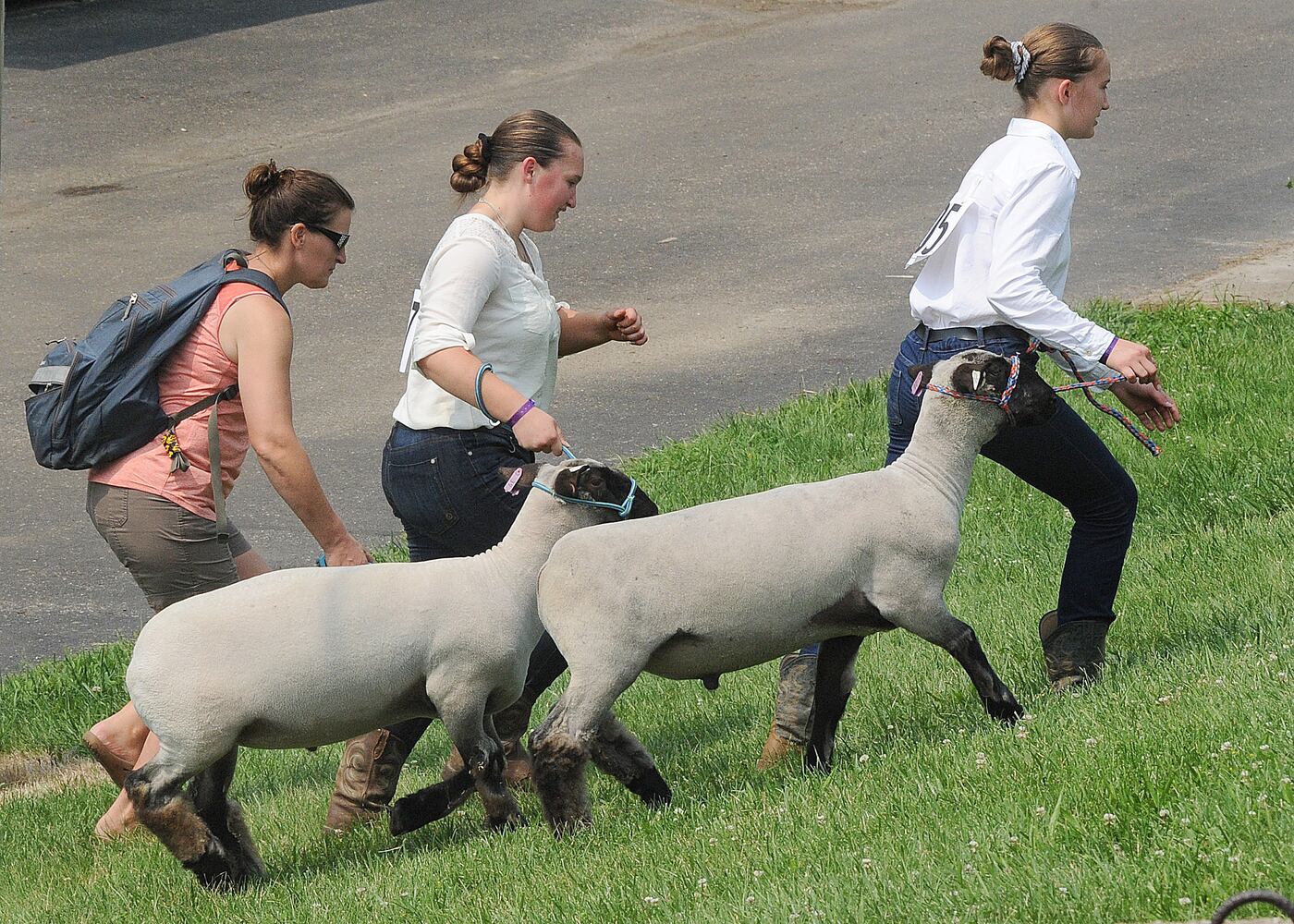 WARREN COUNTY FAIR