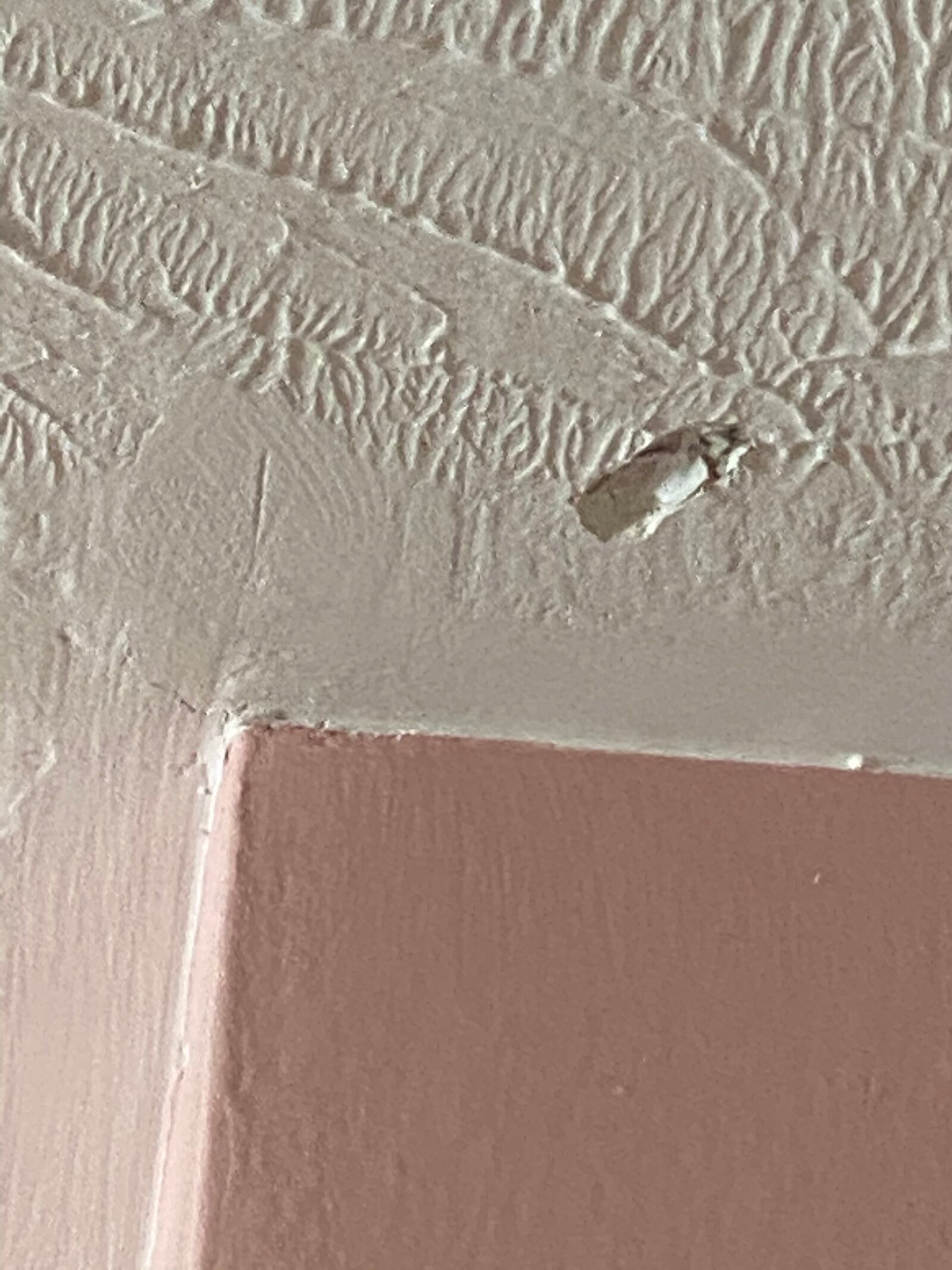 A bullet was found in a Madison Twp. bathroom after it entered through a wall on the second floor, then through a tile in the shower, crossed over a bathtub, hit the ceiling and landed on the floor. SUBMITTED PHOTO