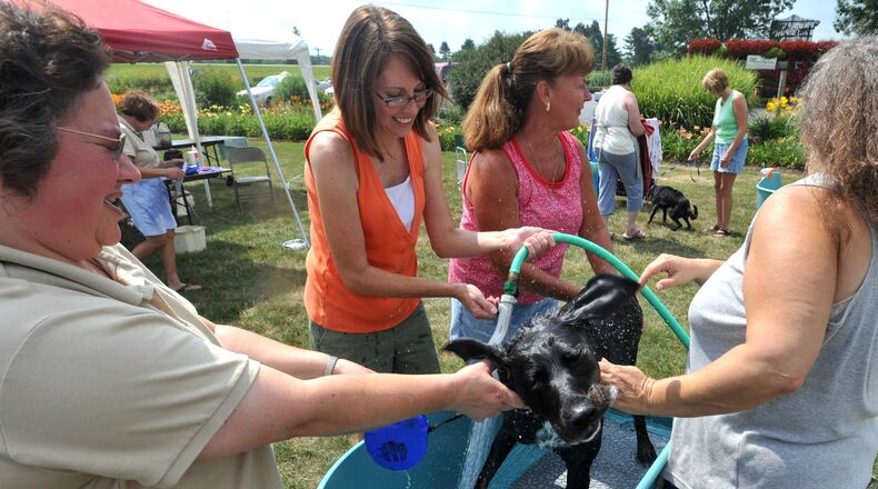 Several dog wash fundraisers are planned this summer to benefit Oxford Relay for Life. STAFF FILE PHOTO
