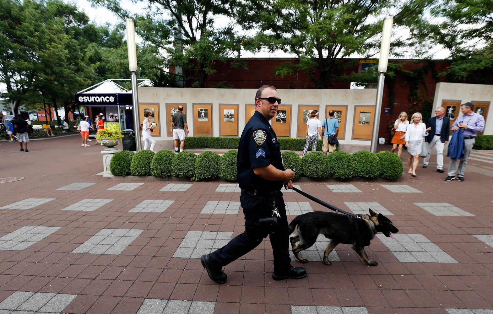 News hounds (9/10/15)