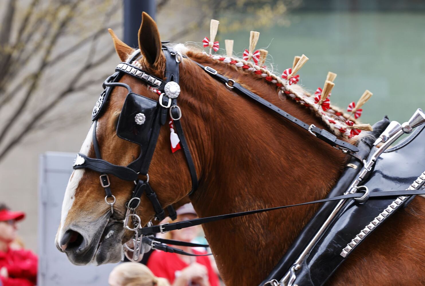 041222 Reds parade