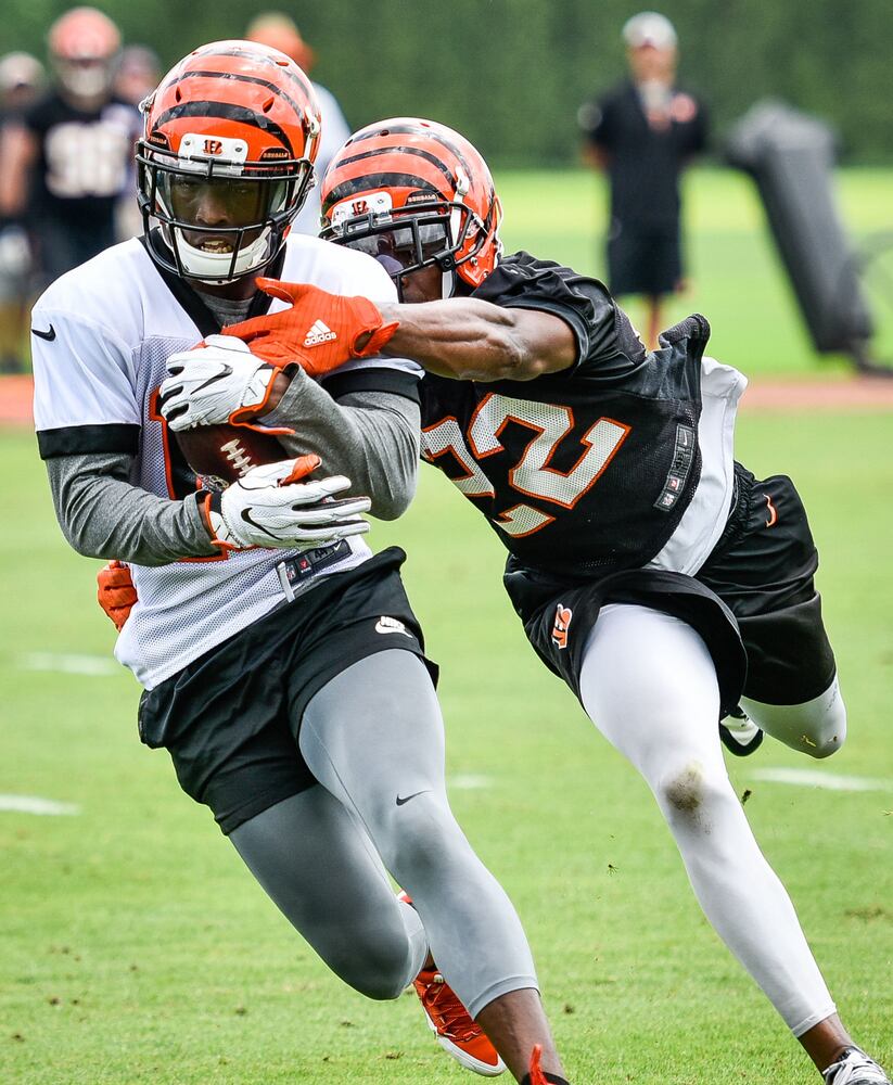 Cincinnati Bengals OTA