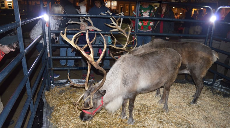 Reindeer from Whitetail Acres Nursery and Landscaping, near Brookville, Ind., were on hand for a previous Oxford Holiday Festival. FILE
