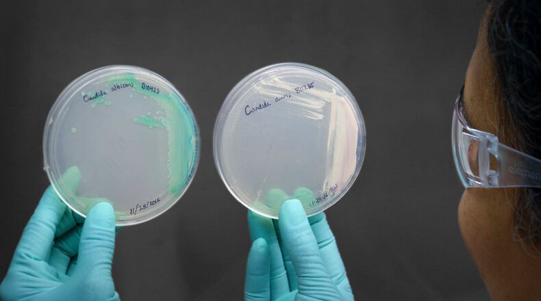 An undated photo provided by the Centers for Disease Control and Prevention shows a cultured Candida auris, right, and cultured Candida alibicans. The World Health Organization has released a ranking of fungi that threaten human health in its most ambitious effort to draw attention to a constellation of pathogens that are largely overlooked, even as they have become increasingly widespread, resistant to treatment and deadly. (Centers for Disease Control and Prevention via The New York Times) — NO SALES; FOR EDITORIAL USE ONLY —