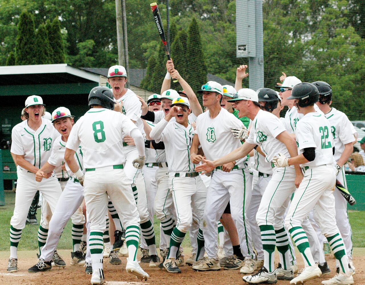 PHOTOS: Badin Vs. Oak Hills Division I Sectional High School Baseball