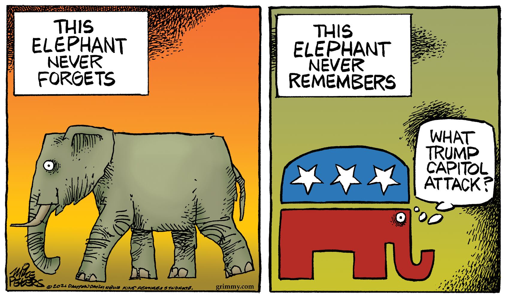 Week in cartoons: Executive orders, unity and more